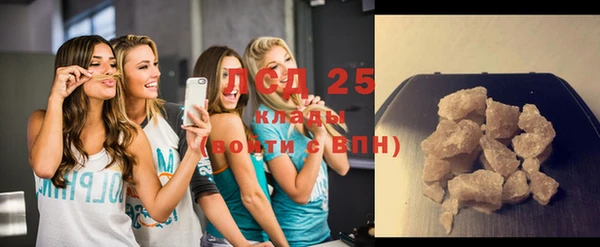 прущие грибы Липки