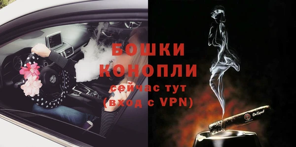 тгк Лиски