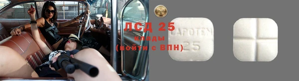 тгк Лиски