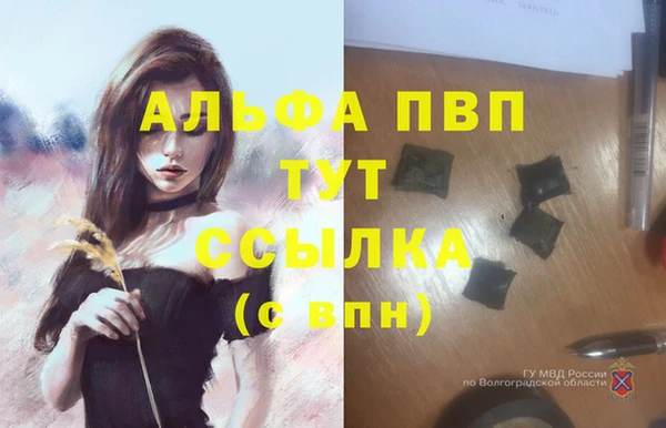 прущие грибы Липки