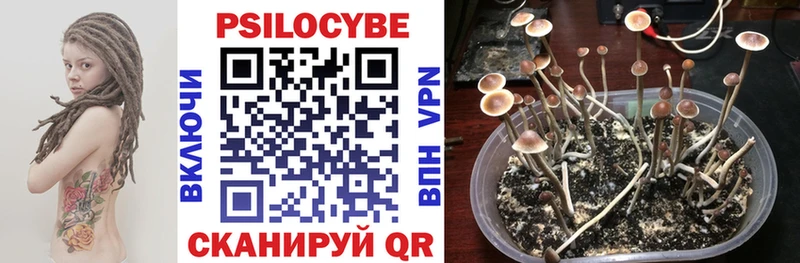 это состав  Нальчик  Галлюциногенные грибы MAGIC MUSHROOMS 